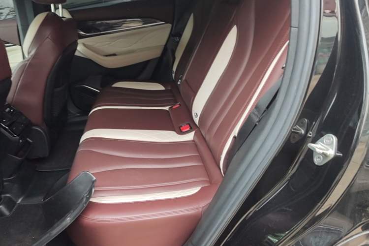 Used Geely Auto Monjaro L 2021 2.0TD DCT EVO Two-Wheel Drive Smart Luxury Version Left Rear Seat