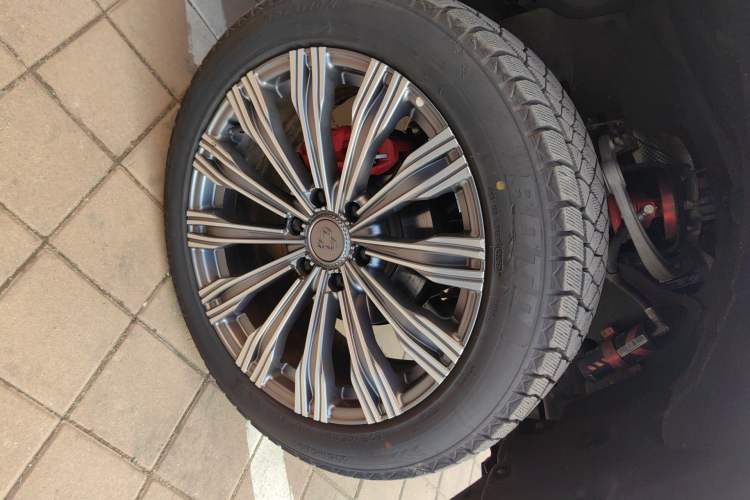 Used Cyberspace Tank 300 2021 2.0T Cyber Tank
