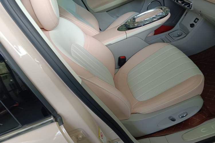 Used ORA Ballet Cat 2022 401 km Nutcracker Edition Right Front Seat