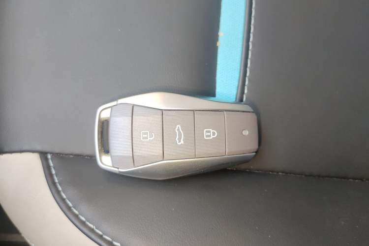 Used SOL E10X 2022 Flower Fairy Design Four-Leaf Clover