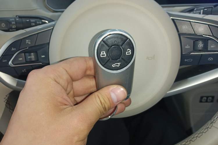 Used ORA Good Cat 2022 400km Standard Range Luxury Version Lithium Iron Phosphate Vehicle Key