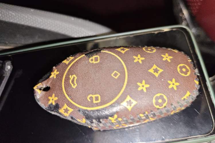 Used Leapmotor T03 2021 400 Lite Edition Lithium Iron Phosphate Vehicle Key