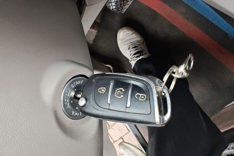 Used JMEV Xiao Qilin 2023 Joyful Edition 201km Luxury Model Vehicle Key