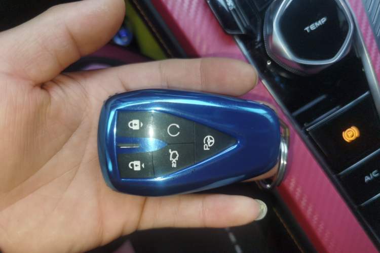 Used Oshan Z6 New Energy 2022 Blue Whale iDD 150KM Flagship PLUS Smart Parking Edition
