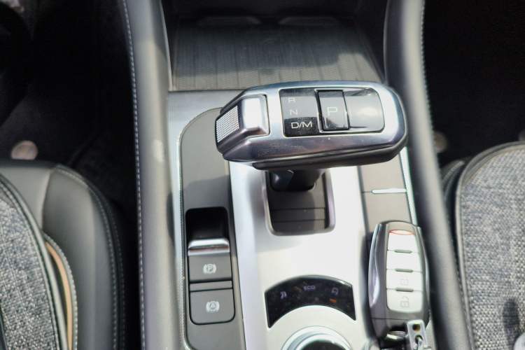 Used Great Wall Poer 2021 2.0T Global Version Passenger Car Automatic Gasoline Two-Wheel Drive Comfort Trim Standard Box – GW4C20B Gear Lever