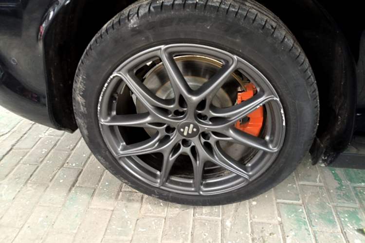 Used IM LS6 2023 Max Standard Edition
