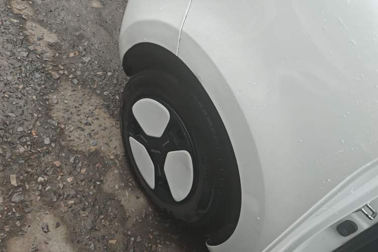 Used Qiyuan Lumin 2022 210km Sweet Edition