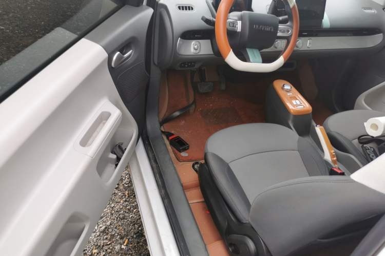 Used Qiyuan Lumin 2023 205km Xiangqin Version