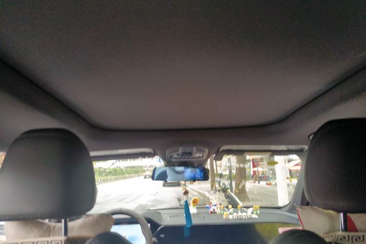 Used Geely Auto Monjaro L 2024 2.0TD DCT EVO Two-Wheel Drive Long-Range Version