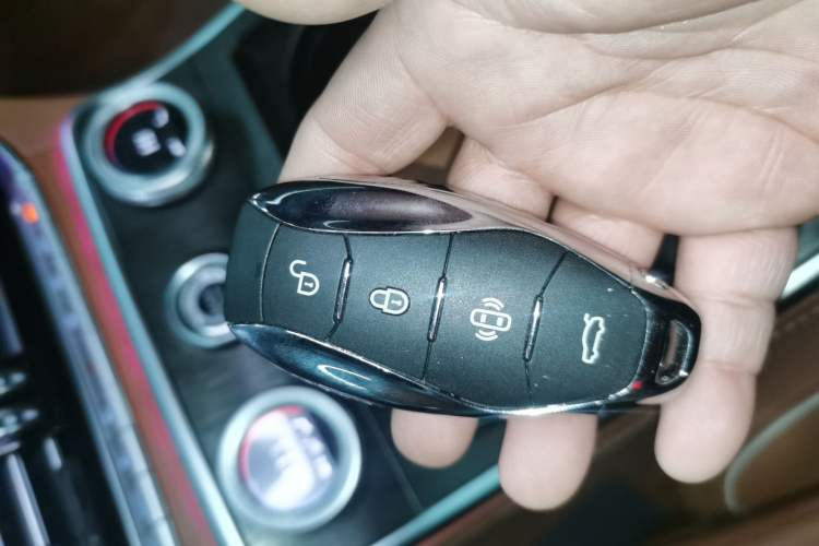 Used Hongqi H9 2023 2.0T Smart Connect Flagship Edition