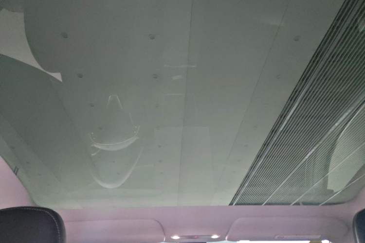 Used Tesla Model Y 2025 Rear-Wheel-Drive Version Headliner