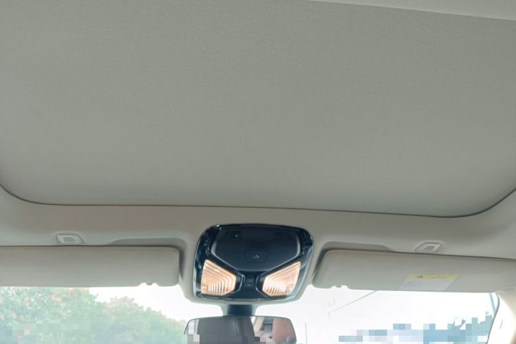 Used BMW 5 Series New Energy 2020 530Le Luxury Package
