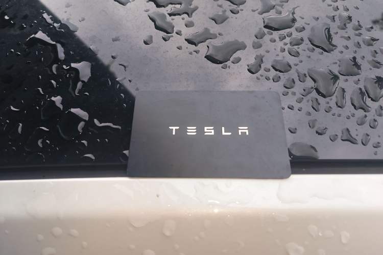 Used Tesla Model Y 2021 Long-Range All-Wheel-Drive Version