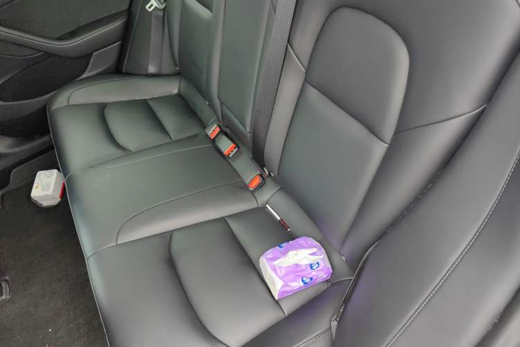 Used Tesla Model 3 2022 Rear-Wheel-Drive Version