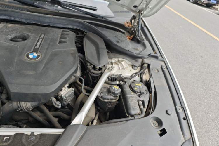 Used BMW 5 Series 2020 530Li Leading Model M Sport Package