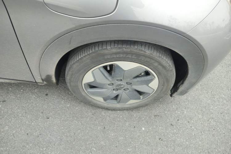 Used BYD Dolphin 2024 Honor Edition 420km Freedom Version
