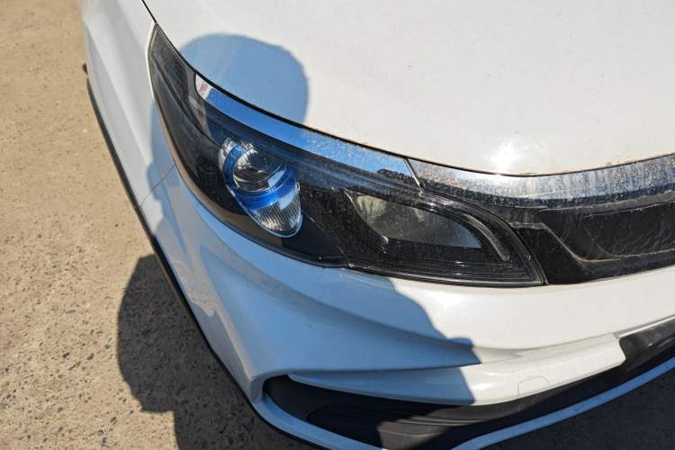 Used Livan Maple 30X 2020 Style Edition
