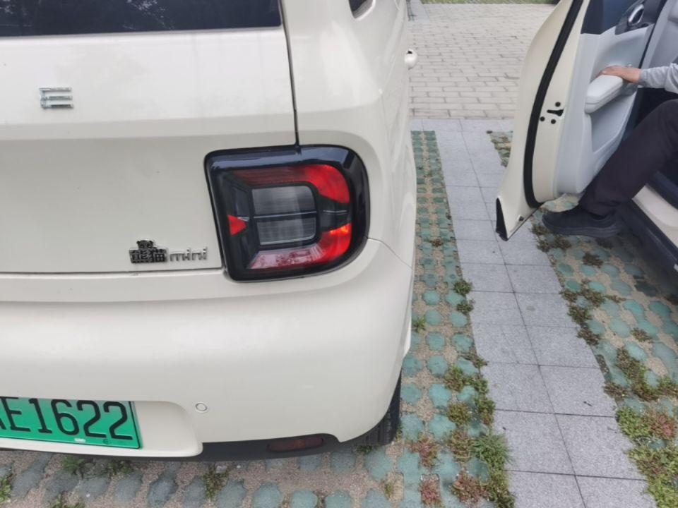Geely Galaxy Panda 2025 210 km – Yuanqi Bear — снимка 9