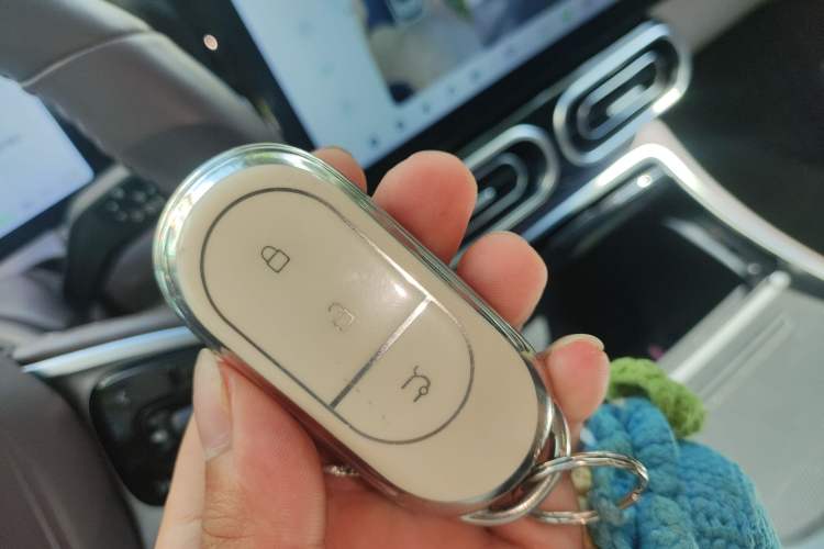 Used Leapmotor C11 2023 Pure Electric 500 Comfort Edition