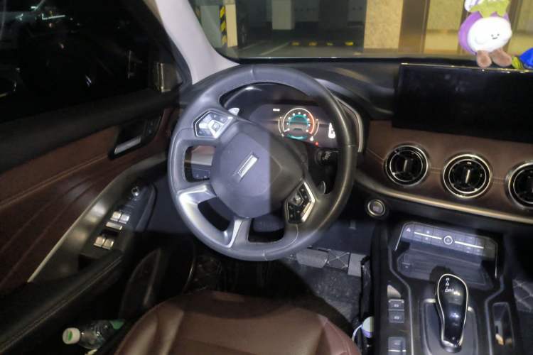 Used Wey VV6 2021 2.0T Two-Wheel Drive Smart Plus
