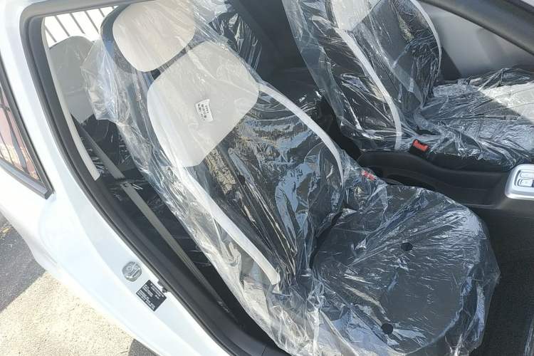 Used CHANGAN NEVO Lumin 2026 Model Treasure Edition 205km Passionate Beige Ningde Right Front Seat