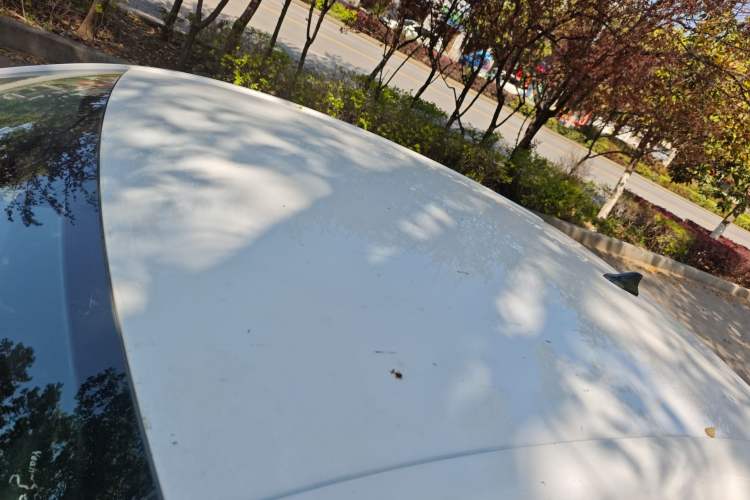 Used Roewe Clever 2022 311km QiQi BoBo Edition
