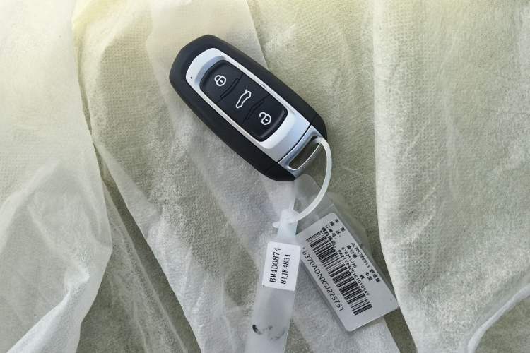 Used Geely Galaxy Panda 2024 Panda Mini 200km Endurance Bear