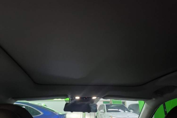 Used Leapmotor C11 2023 Pure Electric 500 Comfort Edition