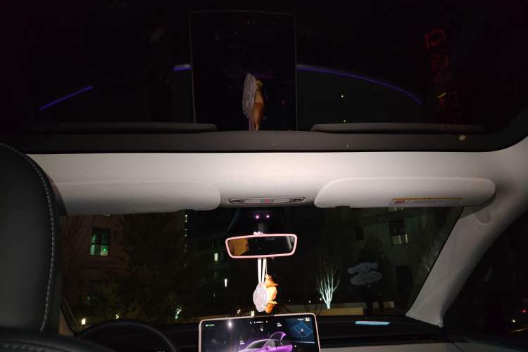 Used Tesla Model Y 2023 Rear-Wheel-Drive Version