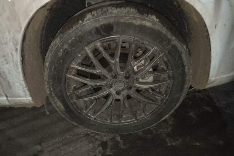 Used Oshan Z6 2022 Blue Whale 1.5T DCT Luxury Model
