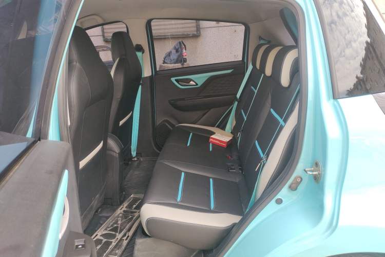 Used SOL E10X 2022 Flower Fairy Design Four-Leaf Clover