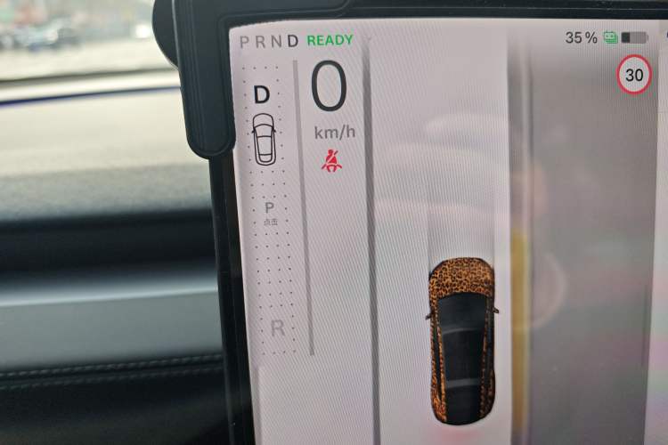 Used Tesla Model Y L 2025 Model Long-Range All-Wheel-Drive Version
