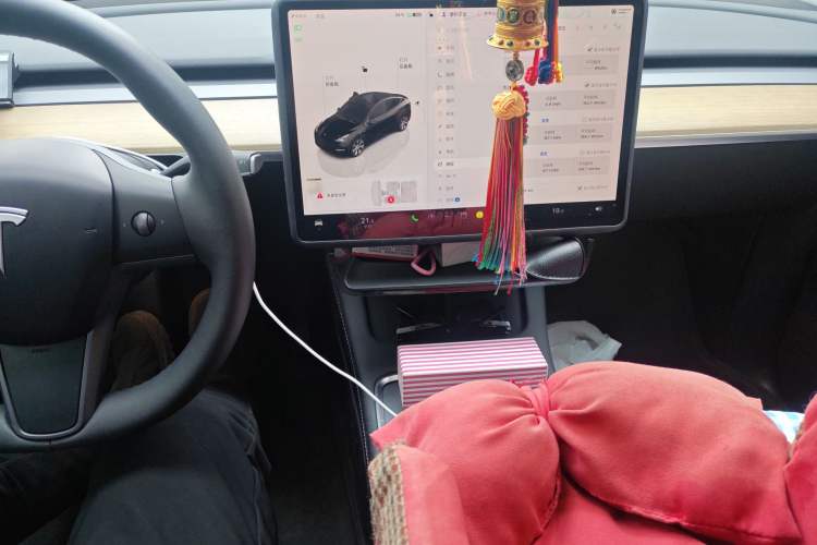 Used Tesla Model Y 2022 Revised Version Rear-Wheel Drive