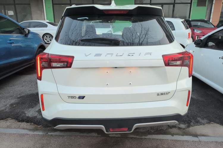 Used Venucia T60EV 2020 AI Enjoyment Model