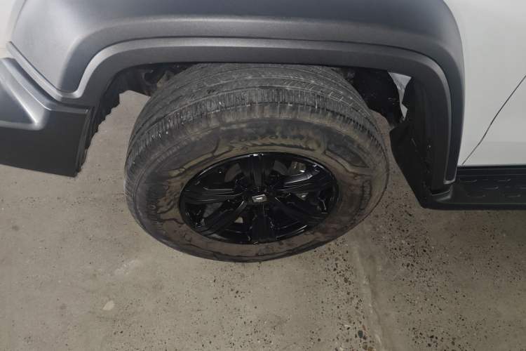 Used Tank 300 2024 2.0T Conqueror