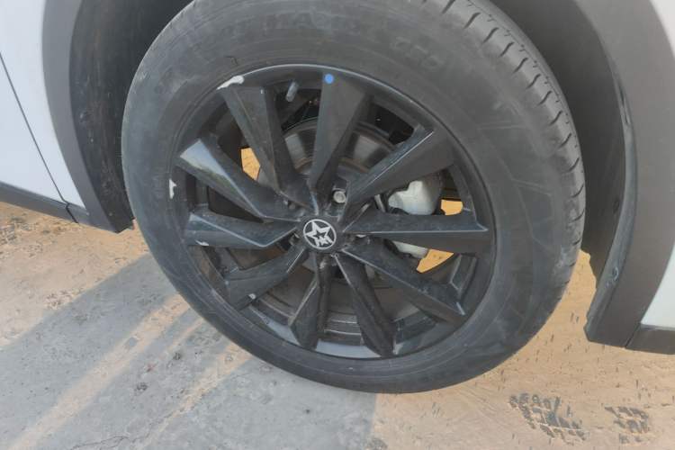 Used Venucia V 2022 260T Black Horse Edition · King
