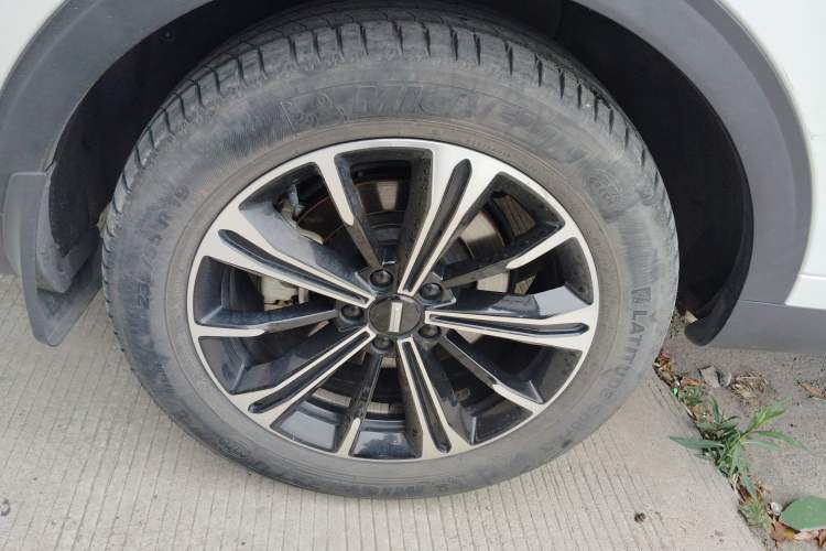 Used Wey VV6 2021 2.0T Two-Wheel Drive Smart Protection+