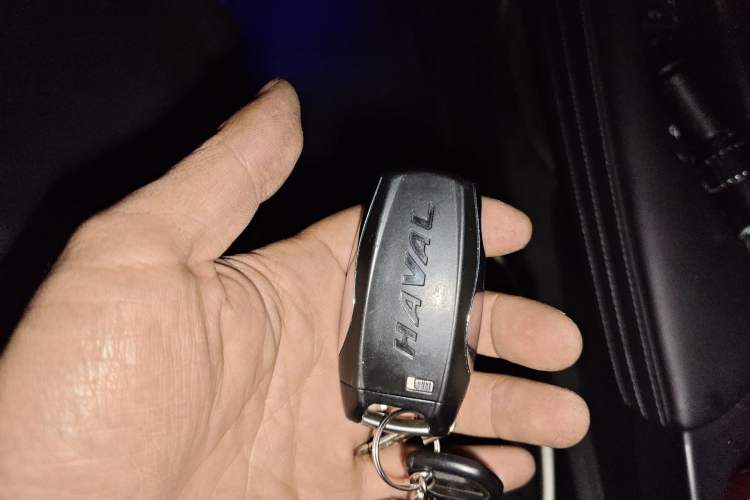 Used Haval F7 2019 1.5T Two-Wheel Drive i-Trend China V Emission Standard