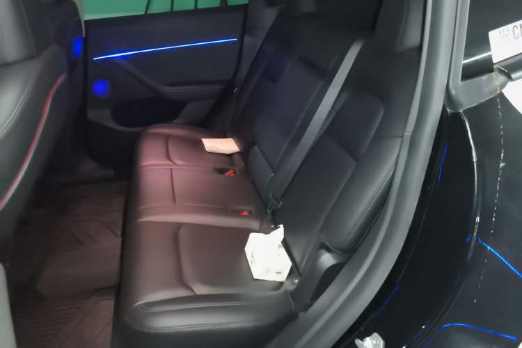 Used Tesla Model Y 2021 Standard Range Rear-Wheel Drive Version
