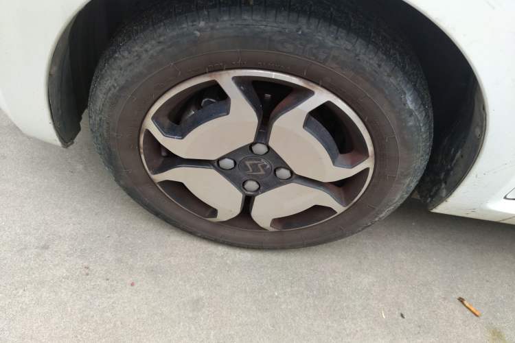 Used SOL E10X 2022 Flower Fairy Style Baby's Breath