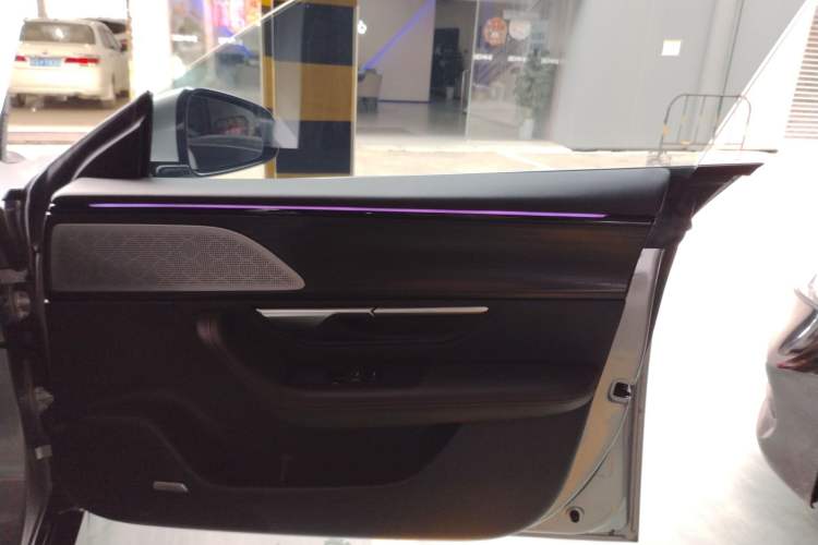 Used XPeng P7 2021 480G Right Front Door Interior