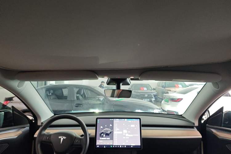 Used Tesla Model Y 2021 Standard Range Rear-Wheel Drive Version
