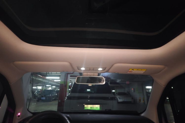 Used Leapmotor T03 2020 400 Luxury Edition Headliner