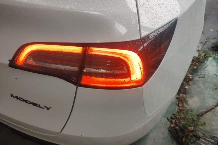 Used Tesla Model Y 2022 Revised Version Rear-Wheel Drive Exterior 3