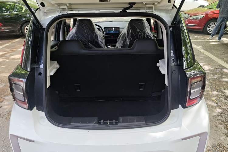 Used SOL E10X 2022 Flower Fairy Design Dandelion
