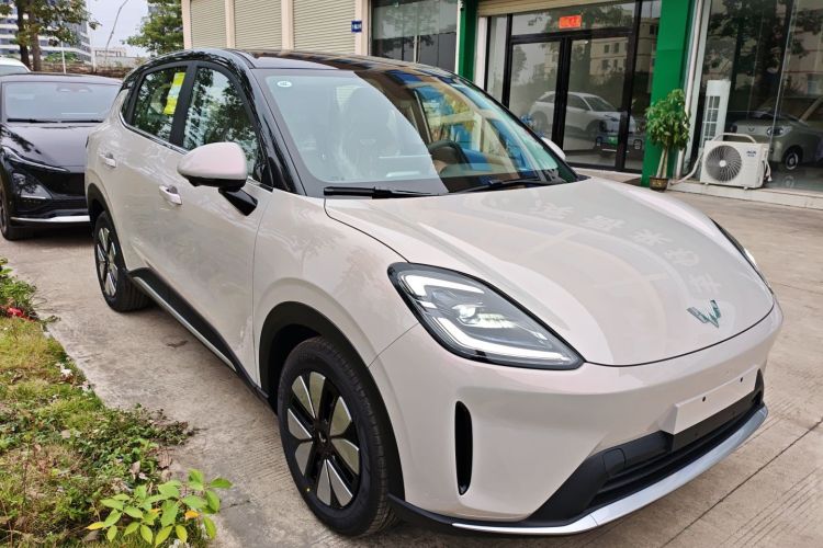 Used Wuling Bingo S 2025 Model 325km Deluxe Edition