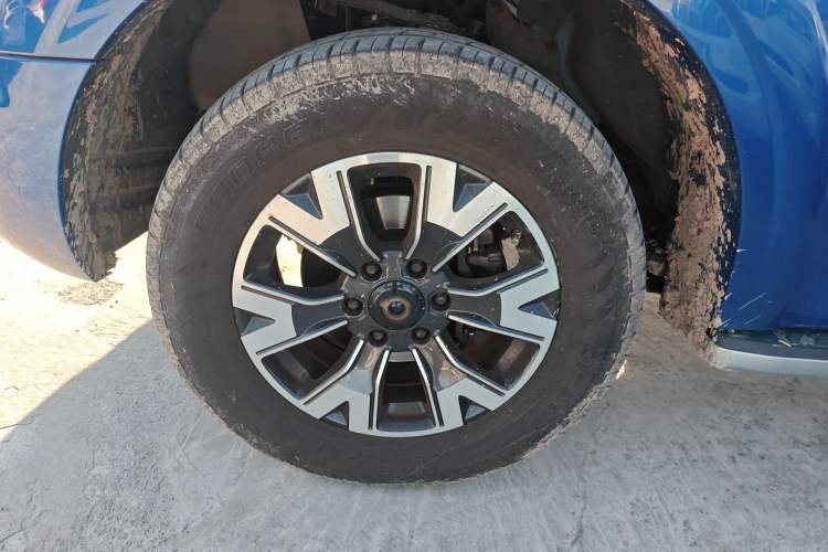 Used Great Wall Poer 2019 2.0T Automatic Gasoline 4x4 Comfort Edition GW4C20B