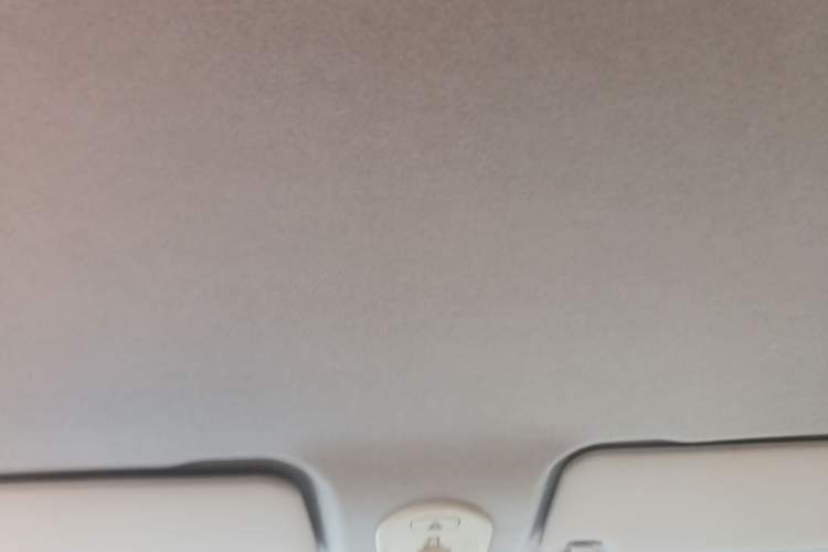 Used Bestune Pony 2024 170km Vitality Horse Headliner