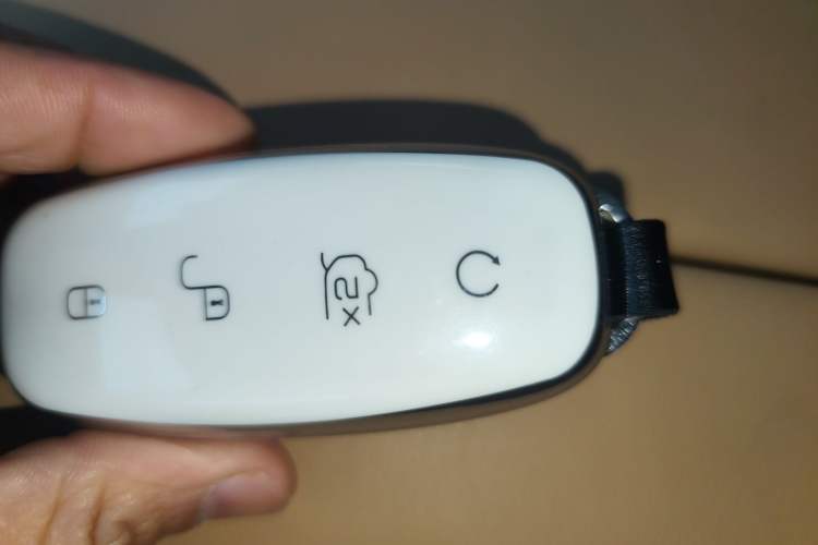 Used Denza D9 2022 DM-i 1040 Prestige Model