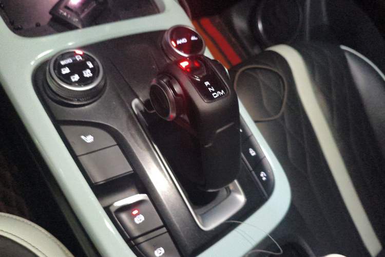 Used Tank 300 2021 City Edition 2.0T My Vision Model
